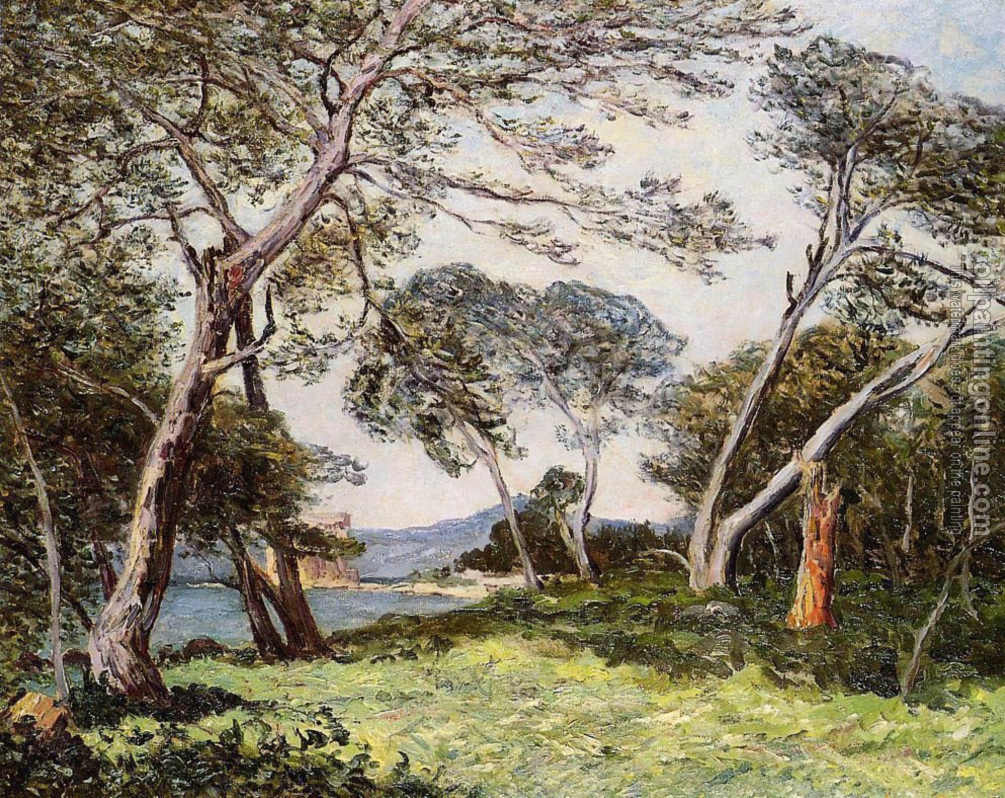 Maufra, Maxime - The Pines of the Ile St Morah